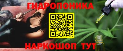 jwh Лесосибирск