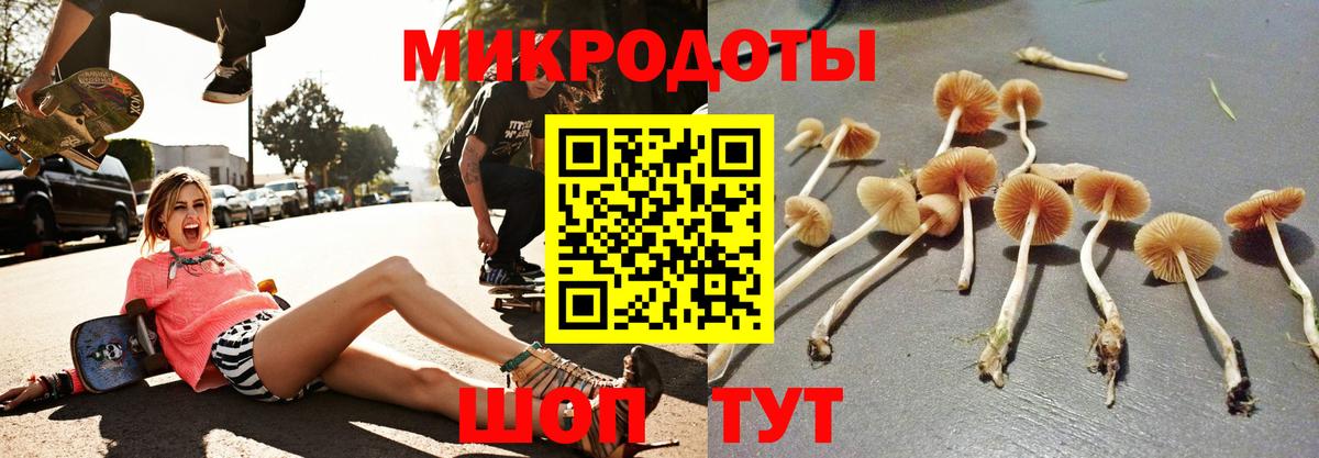 Галлюциногенные грибы GOLDEN TEACHER Зерноград