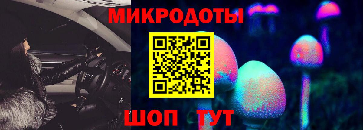 Зерноград  Галлюциногенные грибы GOLDEN TEACHER  Вход с VPN  Псилоцибиновые грибы Psilocybe 